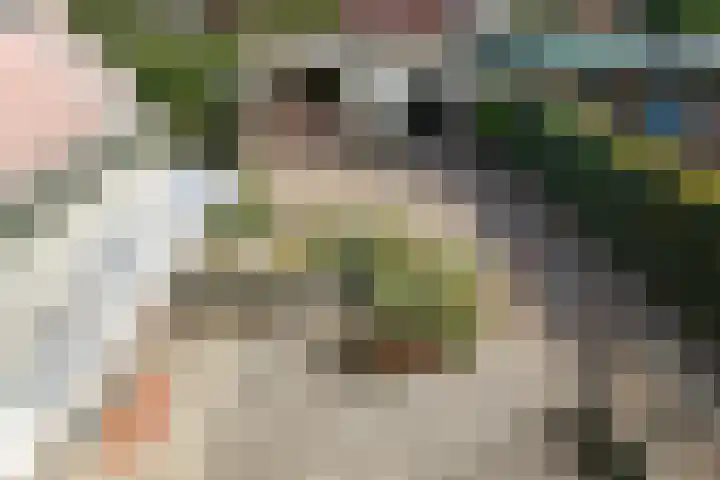 Merkenhorststraat 5 Herveld thumbnail 27