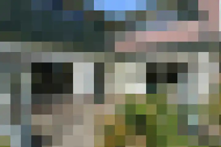 Merkenhorststraat 5 Herveld thumbnail 36