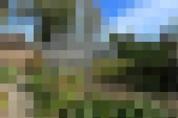 Merkenhorststraat 5 Herveld thumbnail 43