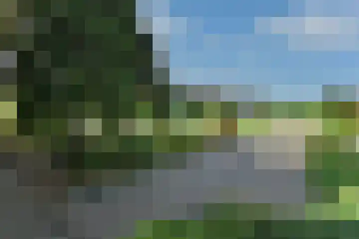 Merkenhorststraat 5 Herveld thumbnail 46