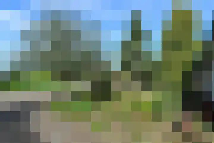 Merkenhorststraat 5 Herveld thumbnail 5