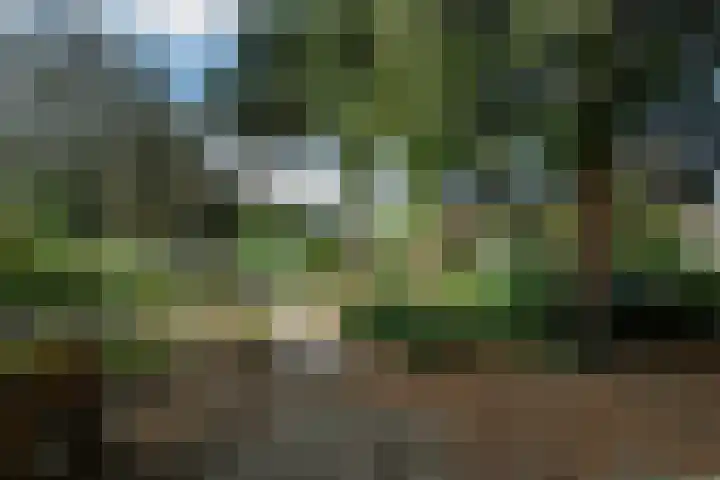 Merkenhorststraat 5 Herveld thumbnail 7