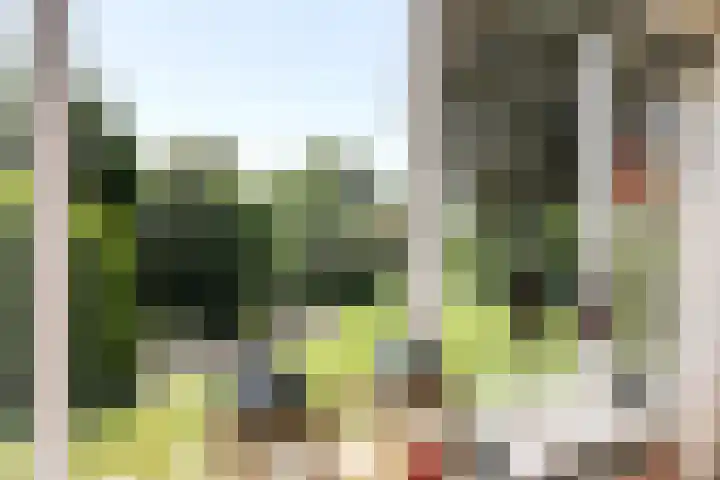 Merkenhorststraat 9 Herveld thumbnail 18