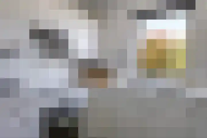 Merkenhorststraat 9 Herveld thumbnail 25