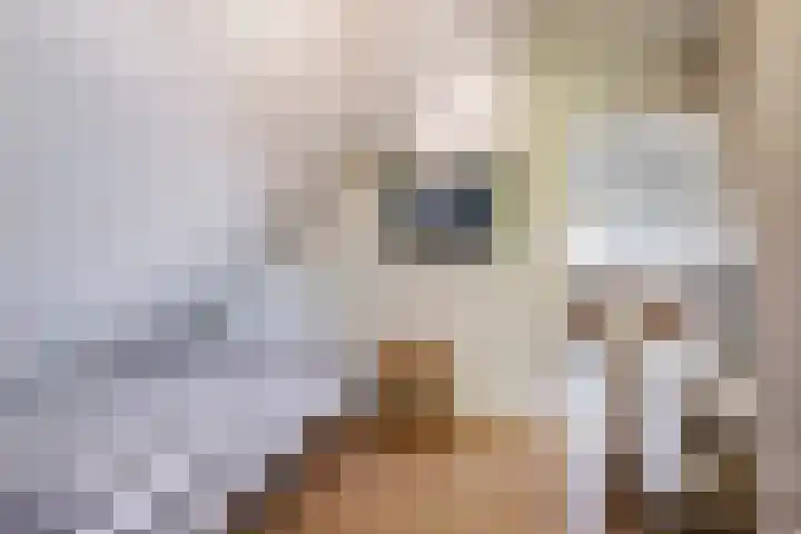 Merkenhorststraat 9 Herveld thumbnail 41