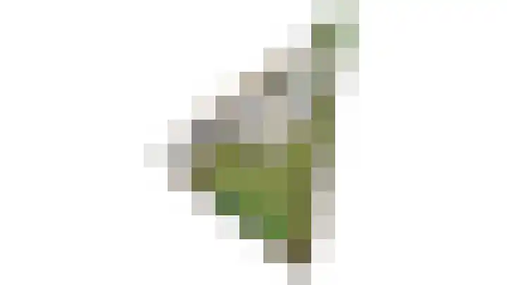 Merkenhorststraat 9 Herveld thumbnail 45