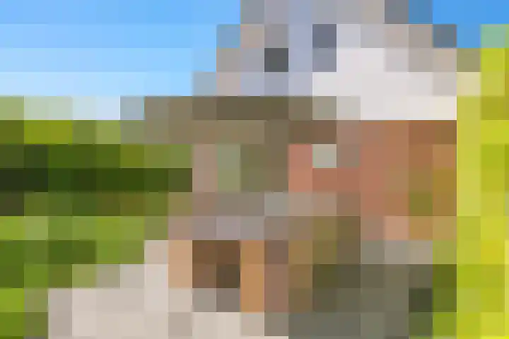 Merkenhorststraat 9 Herveld thumbnail 49