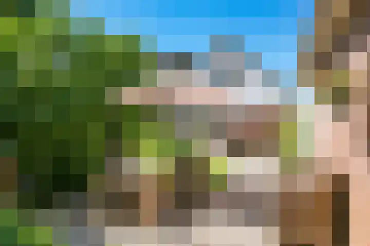 Merkenhorststraat 9 Herveld thumbnail 51