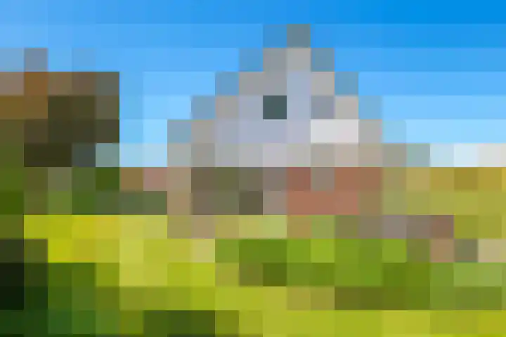 Merkenhorststraat 9 Herveld thumbnail 53