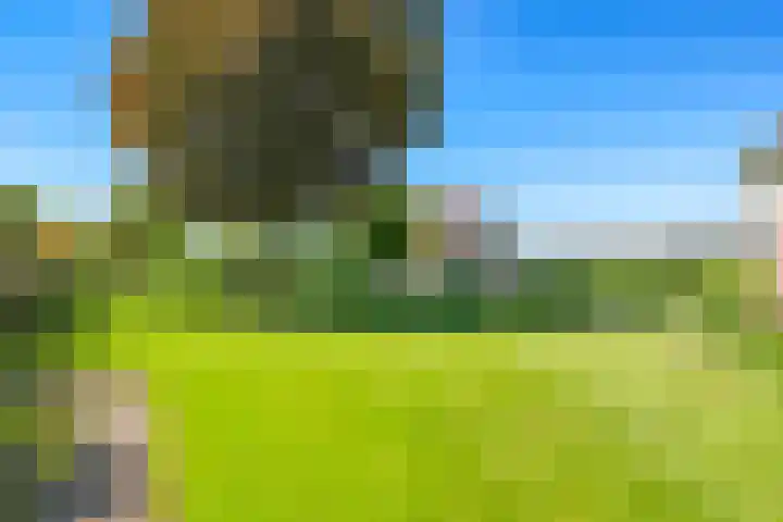Merkenhorststraat 9 Herveld thumbnail 57