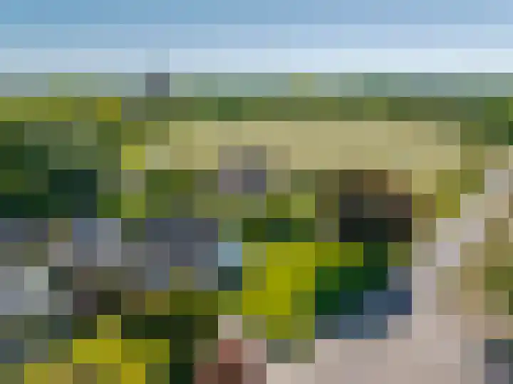 Merkenhorststraat 9 Herveld thumbnail 77
