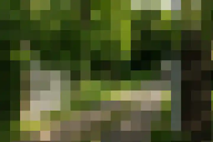 Merkenhorststraat 9 Herveld thumbnail 84