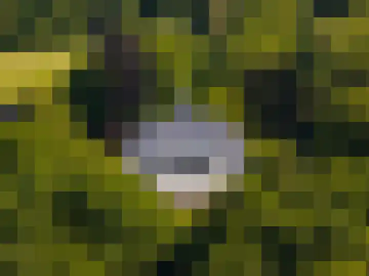 Merkenhorststraat 9 Herveld thumbnail 86
