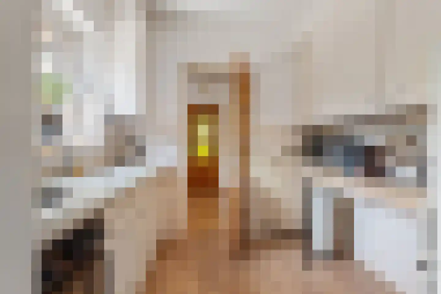 Merkesstraat 2 Utrecht thumbnail 17