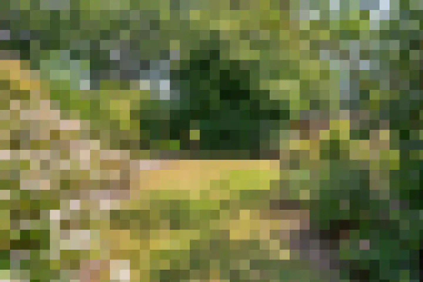 Merkesstraat 2 Utrecht thumbnail 35