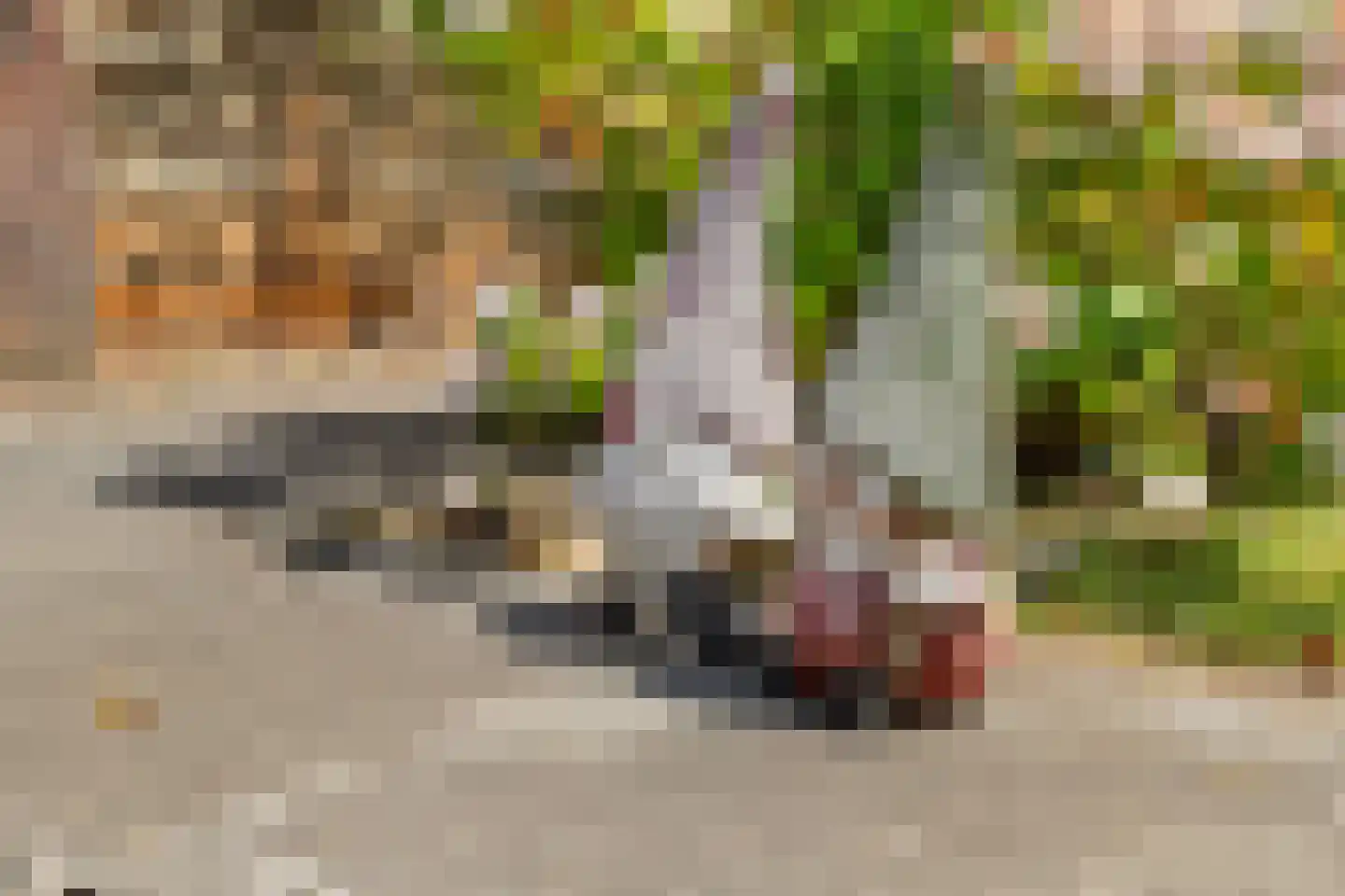 Merkesstraat 2 Utrecht thumbnail 39