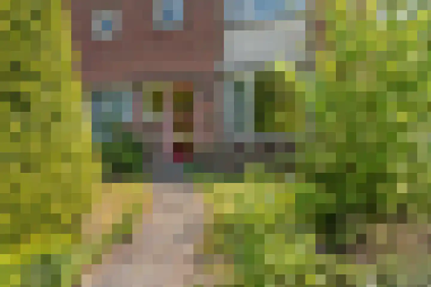 Merkesstraat 2 Utrecht thumbnail 4