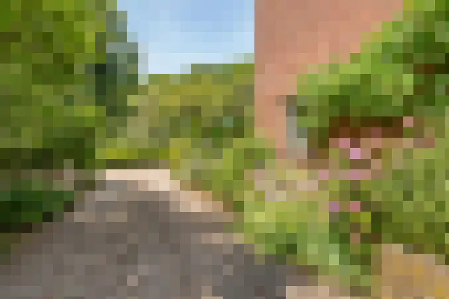 Merkesstraat 2 Utrecht thumbnail 41