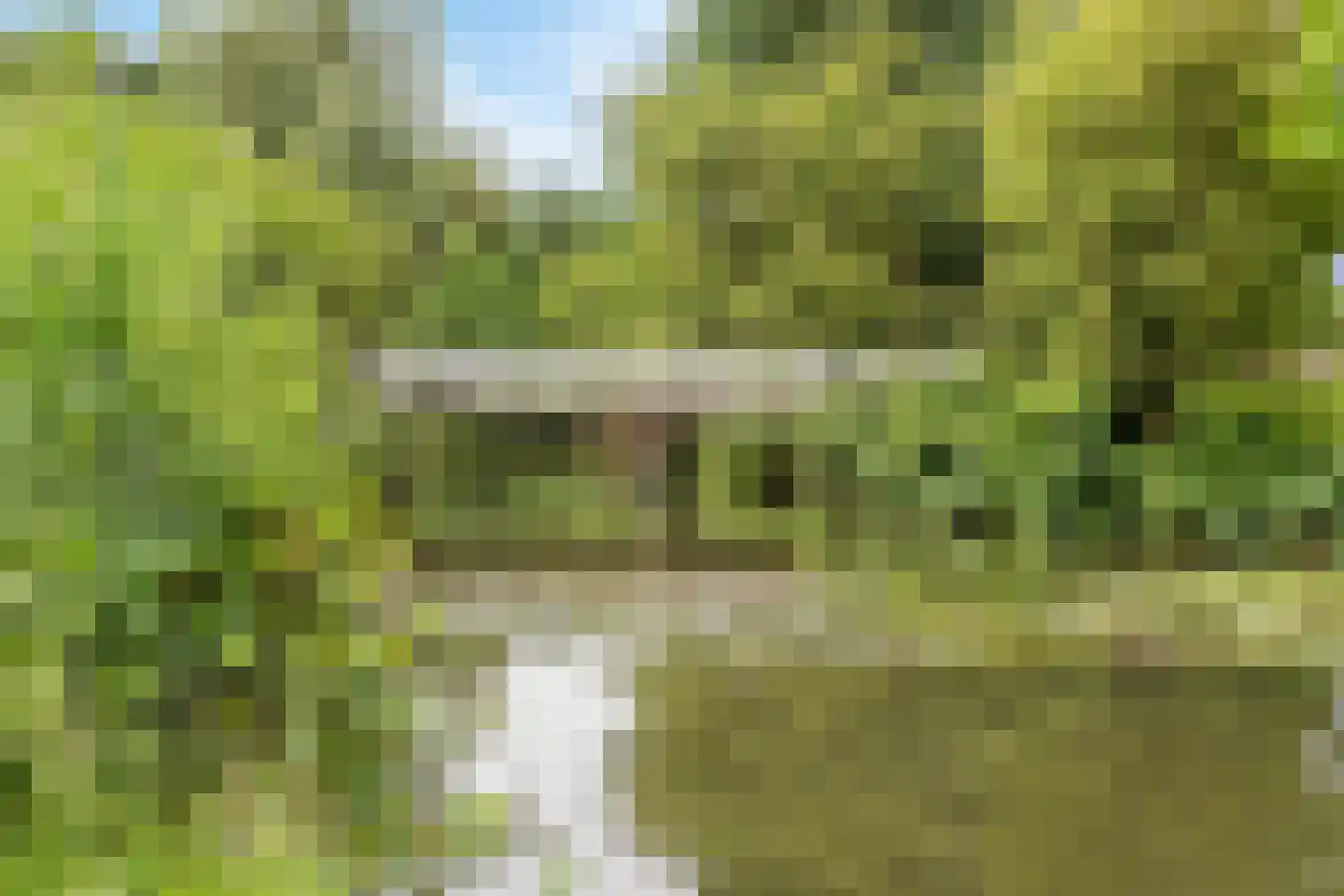 Merkesstraat 2 Utrecht thumbnail 43