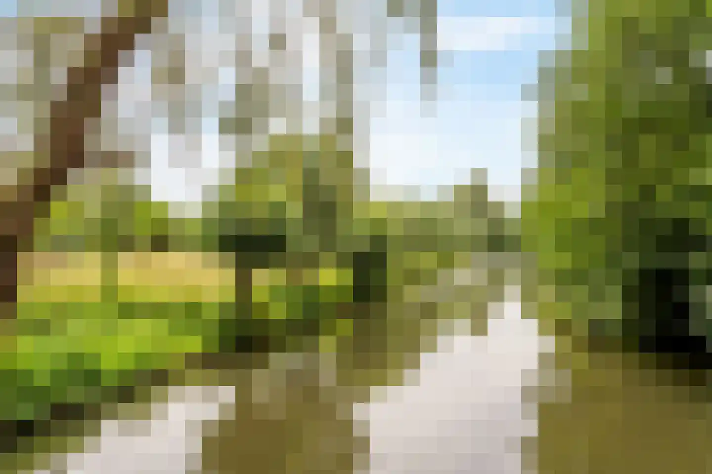 Merkesstraat 2 Utrecht thumbnail 44