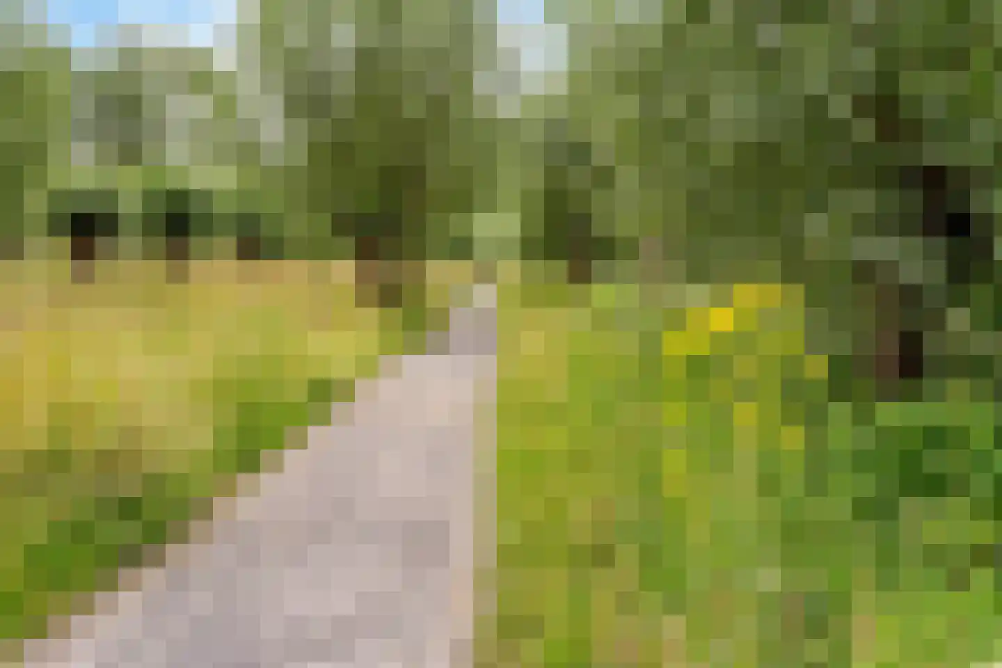 Merkesstraat 2 Utrecht thumbnail 45