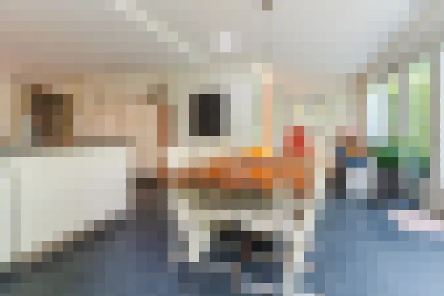 Merketon 10 A Uden thumbnail 18