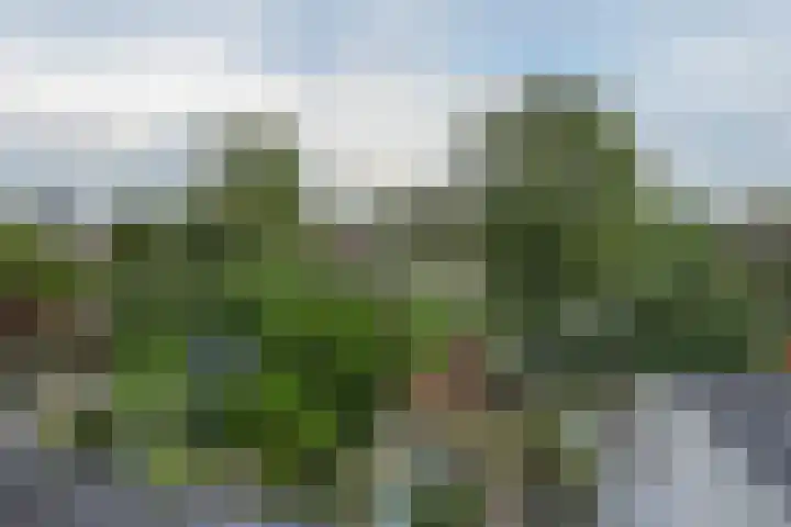Merksemstraat 23 Breda thumbnail 10