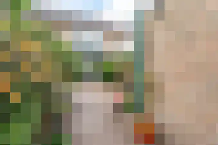 Merksemstraat 23 Breda thumbnail 24
