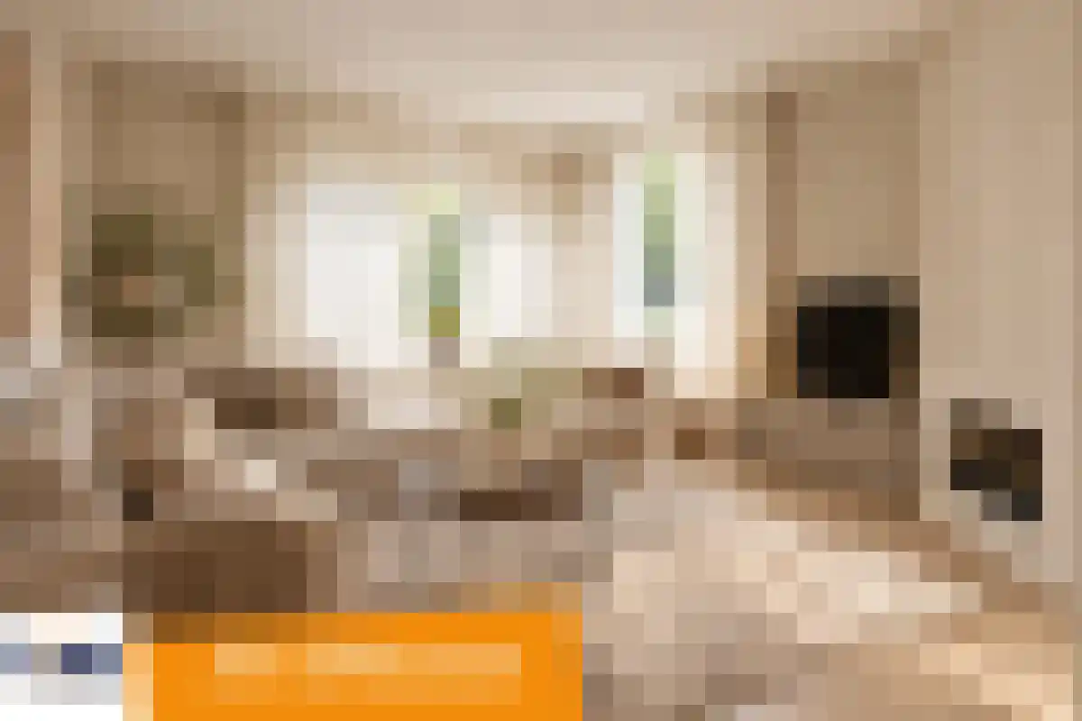 Merkske 17 Tilburg thumbnail 7