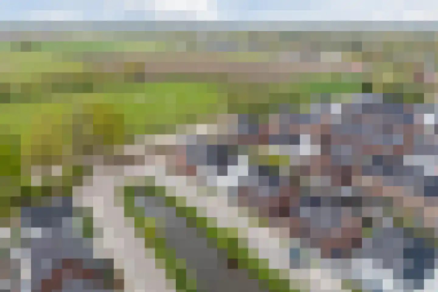 Merksveld 9 Bergeijk thumbnail 39