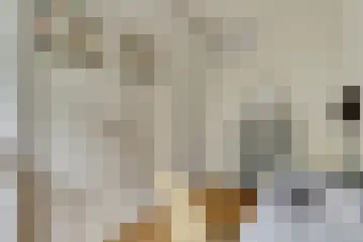 Merlijnstraat 10 3 Amsterdam thumbnail 8