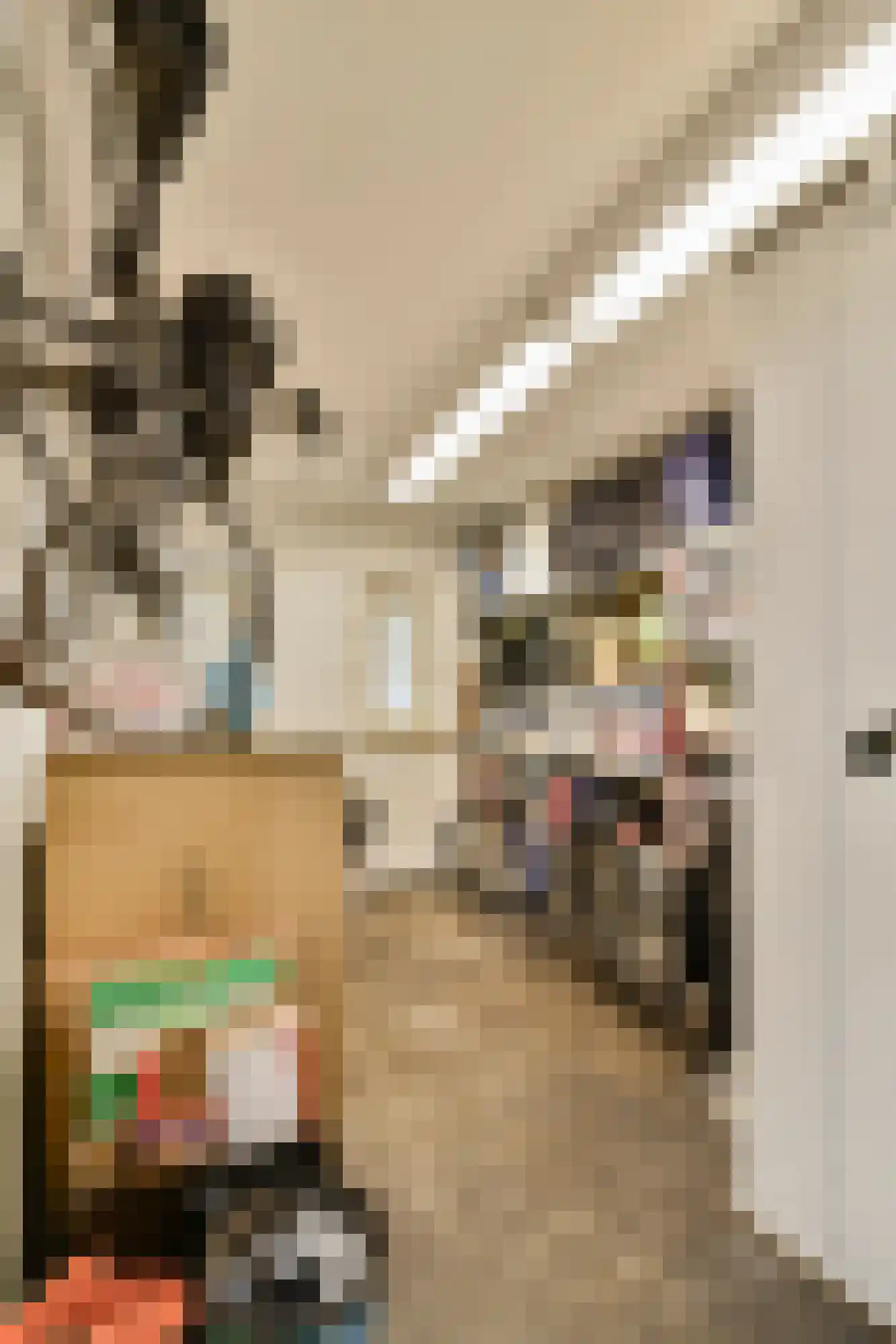 Merlijnstraat 14 H Amsterdam thumbnail 19