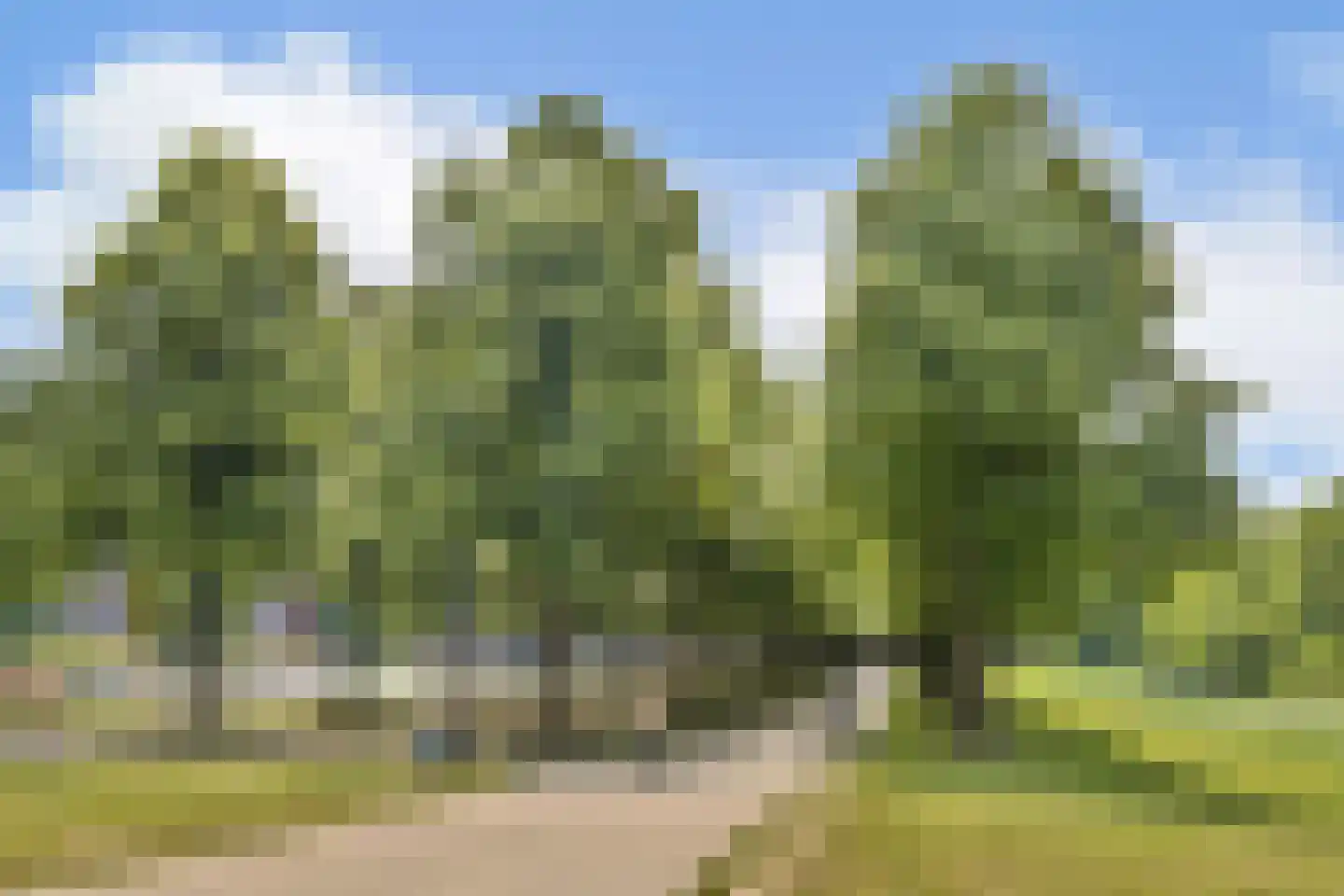 Merlijnstraat 14 H Amsterdam thumbnail 22