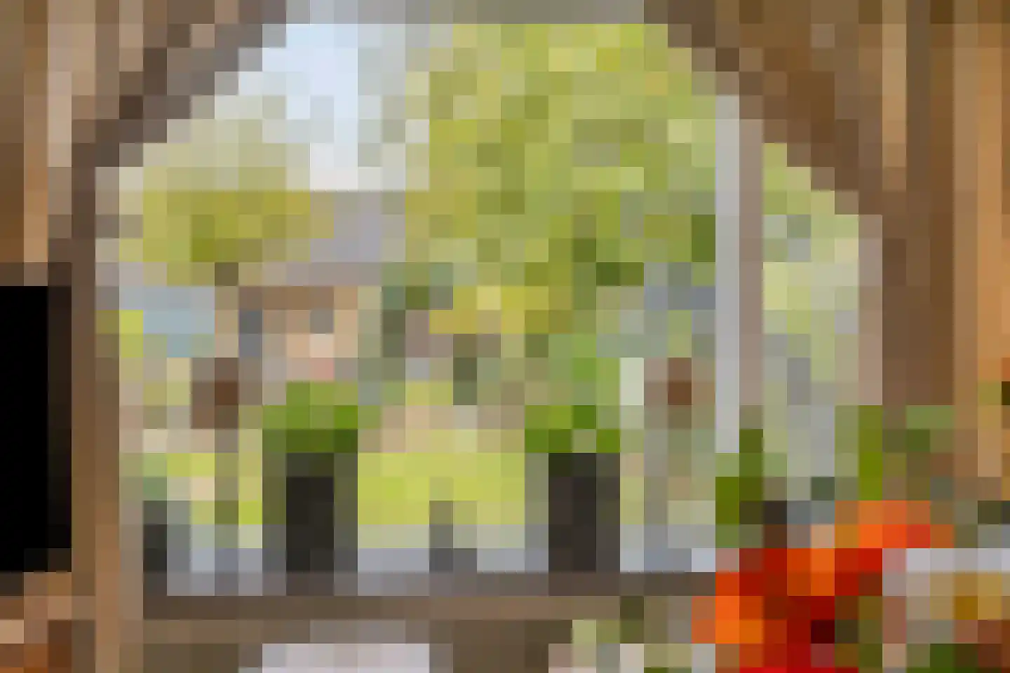 Mermsehof 9 Arnhem thumbnail 11