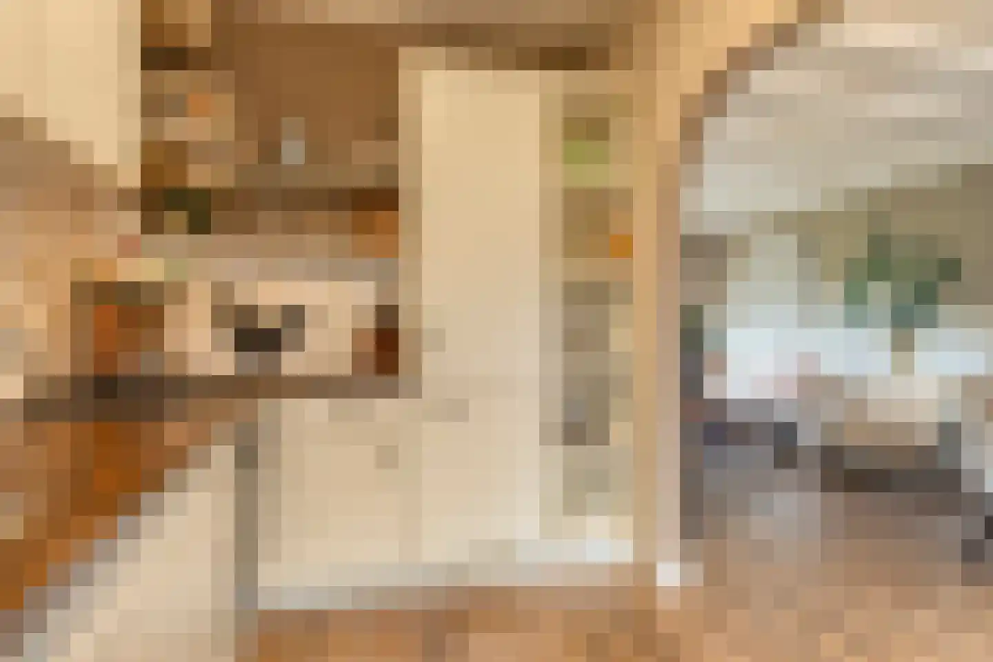 Mermsehof 9 Arnhem thumbnail 16