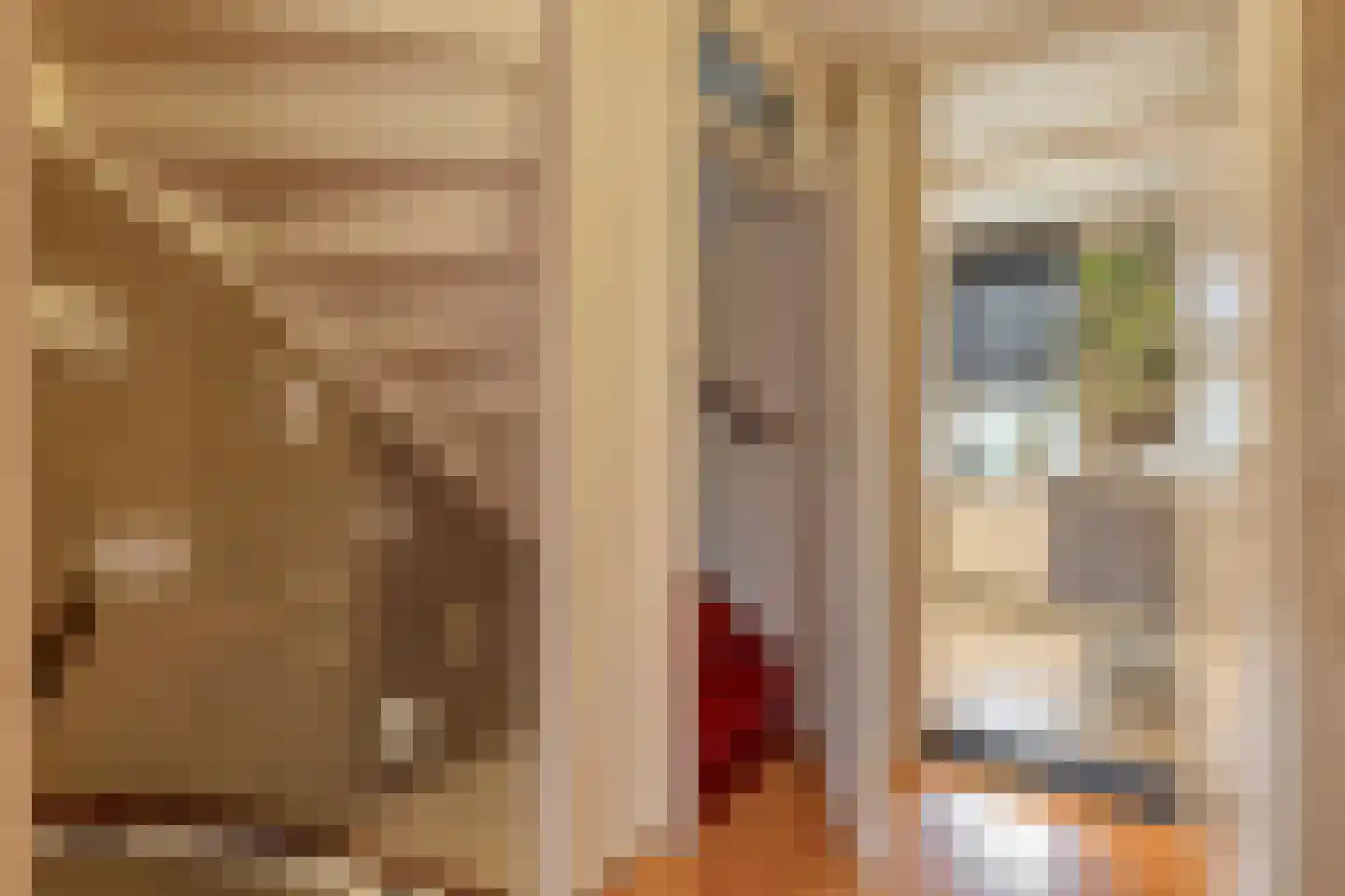 Mermsehof 9 Arnhem thumbnail 17