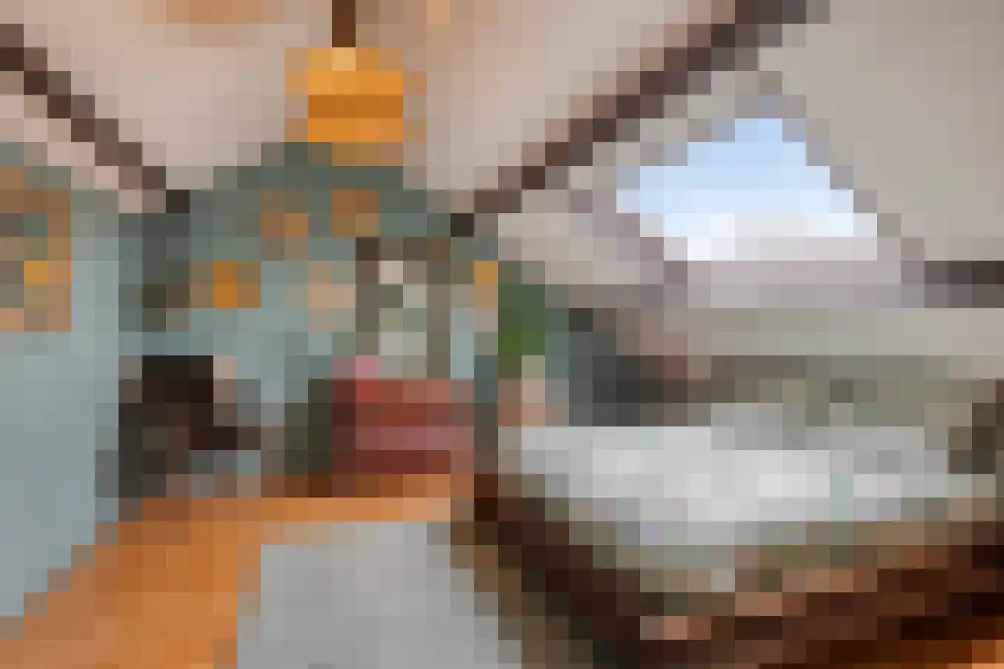 Mermsehof 9 Arnhem thumbnail 23