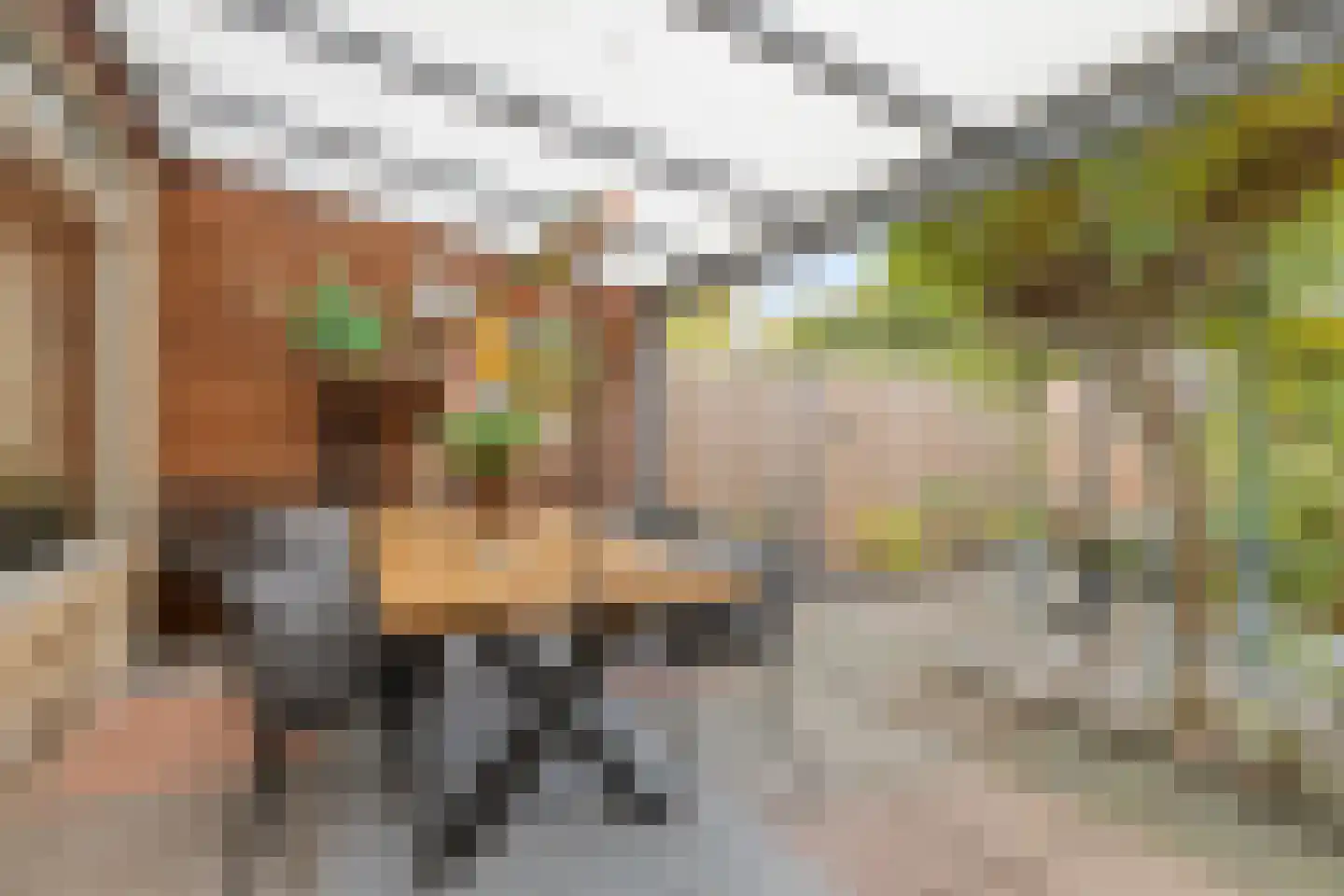 Mermsehof 9 Arnhem thumbnail 25