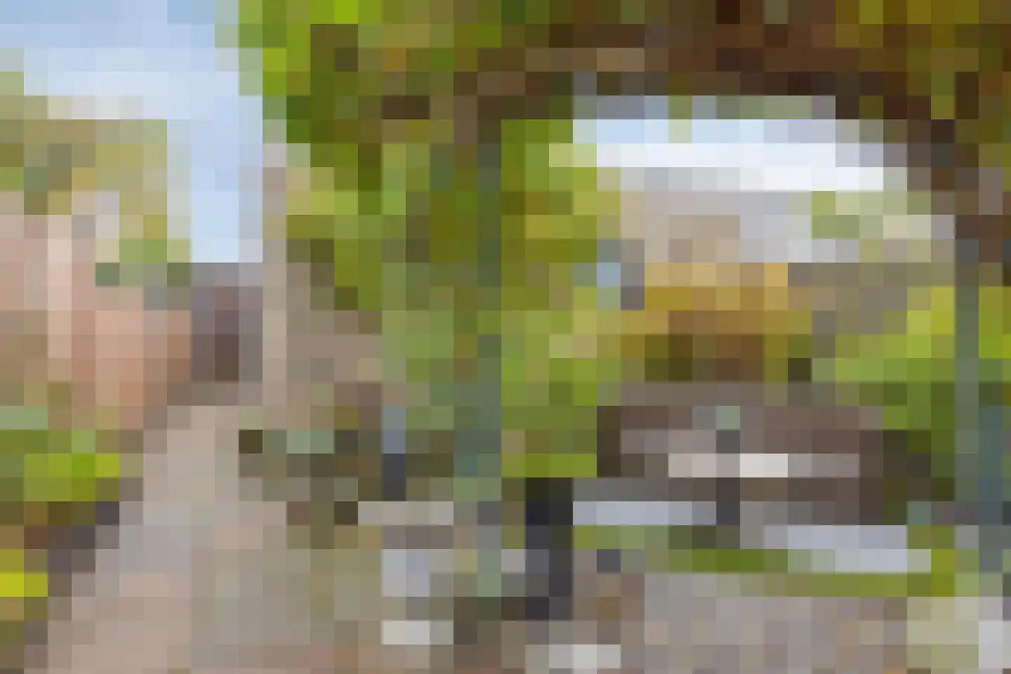 Mermsehof 9 Arnhem thumbnail 26