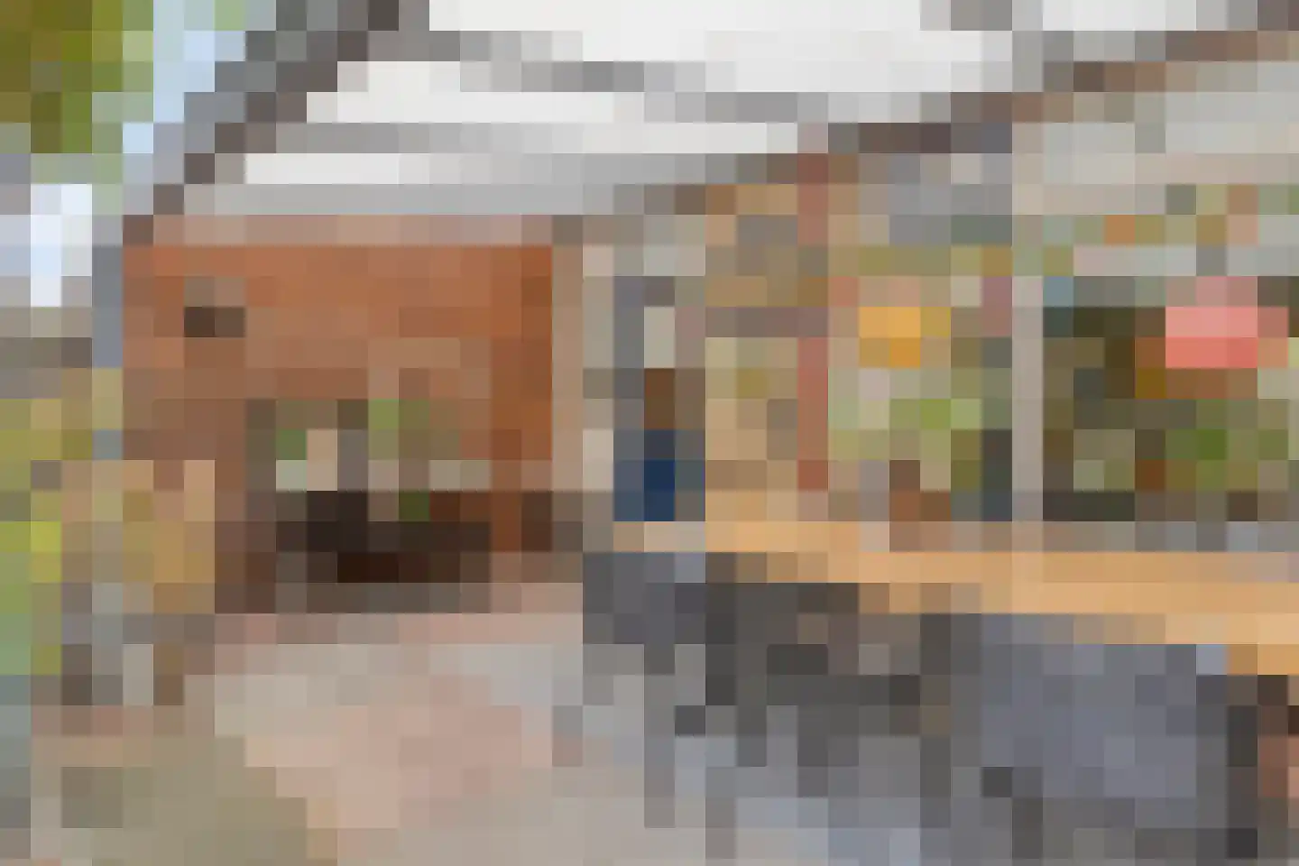 Mermsehof 9 Arnhem thumbnail 27