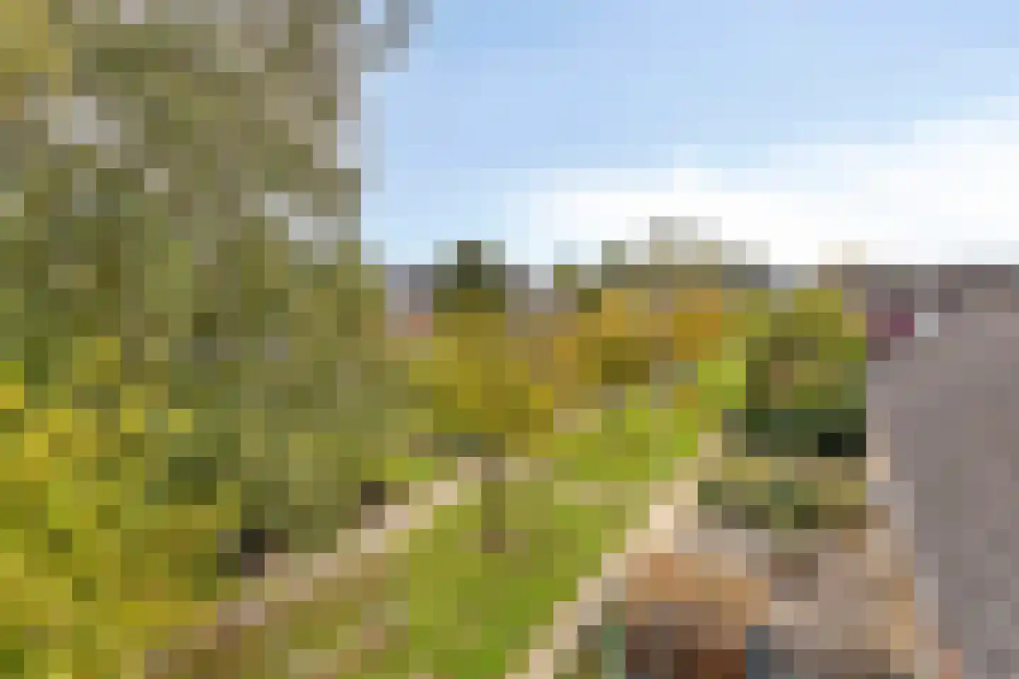 Mermsehof 9 Arnhem thumbnail 29