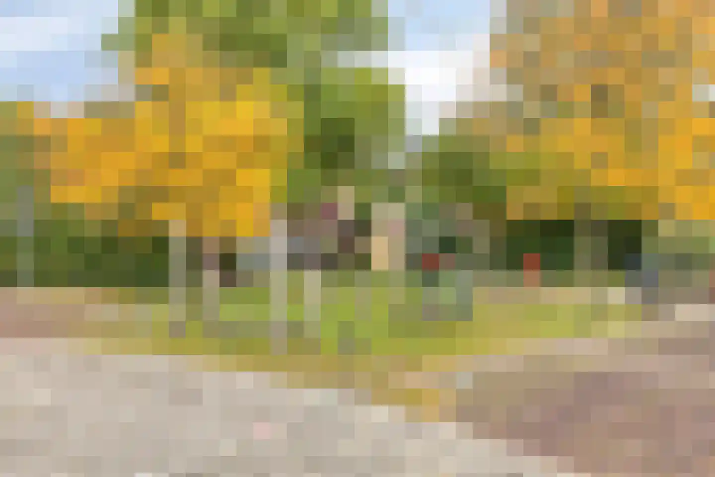 Mermsehof 9 Arnhem thumbnail 31