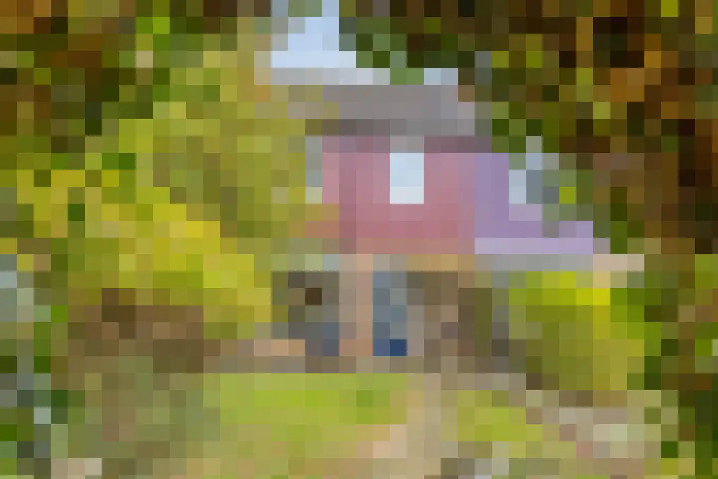 Mermsehof 9 Arnhem thumbnail 5