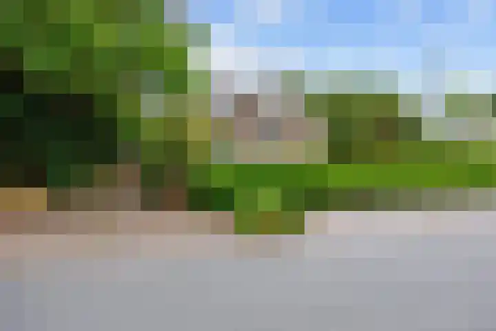 Mernaweg 7 Wehe-den Hoorn foto 2