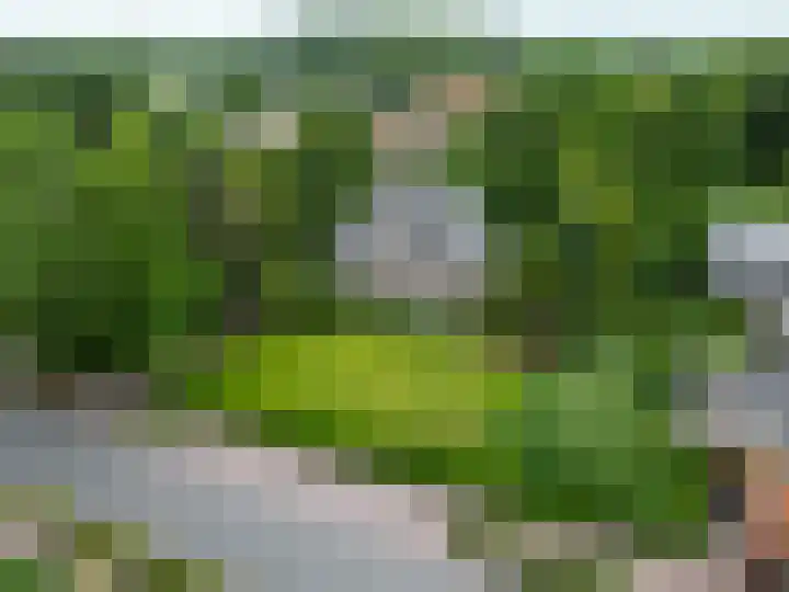 Mernaweg 7 Wehe-den Hoorn thumbnail 48