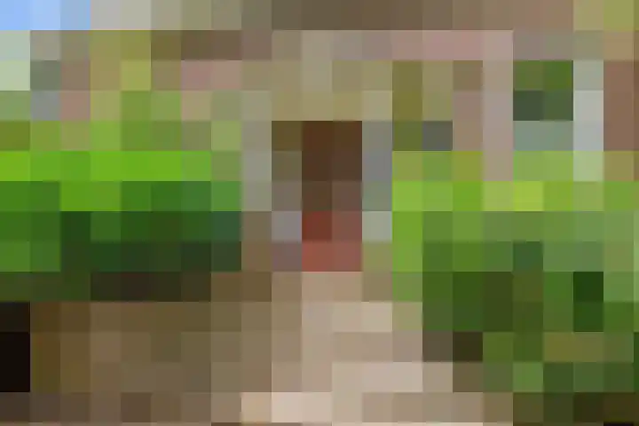 Mernaweg 7 Wehe-den Hoorn thumbnail 50