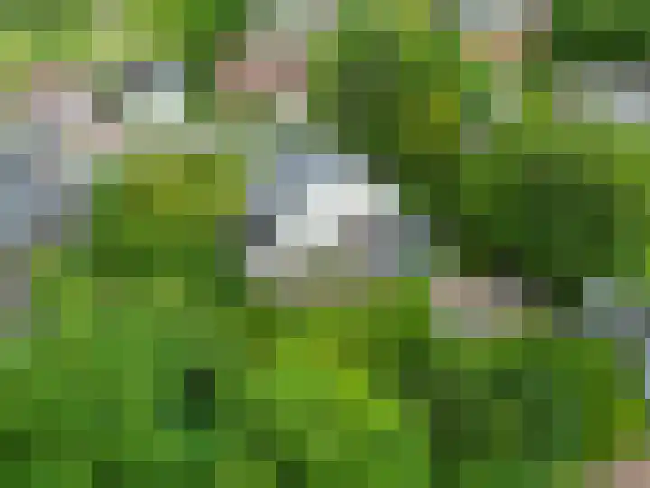 Mernaweg 7 Wehe-den Hoorn thumbnail 52