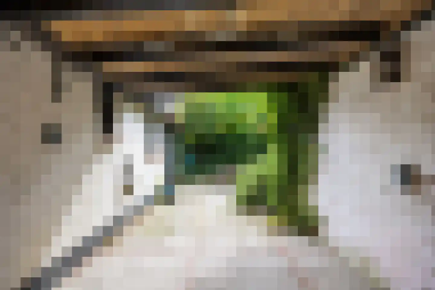 Mernaweg 81 Wehe-den Hoorn thumbnail 48