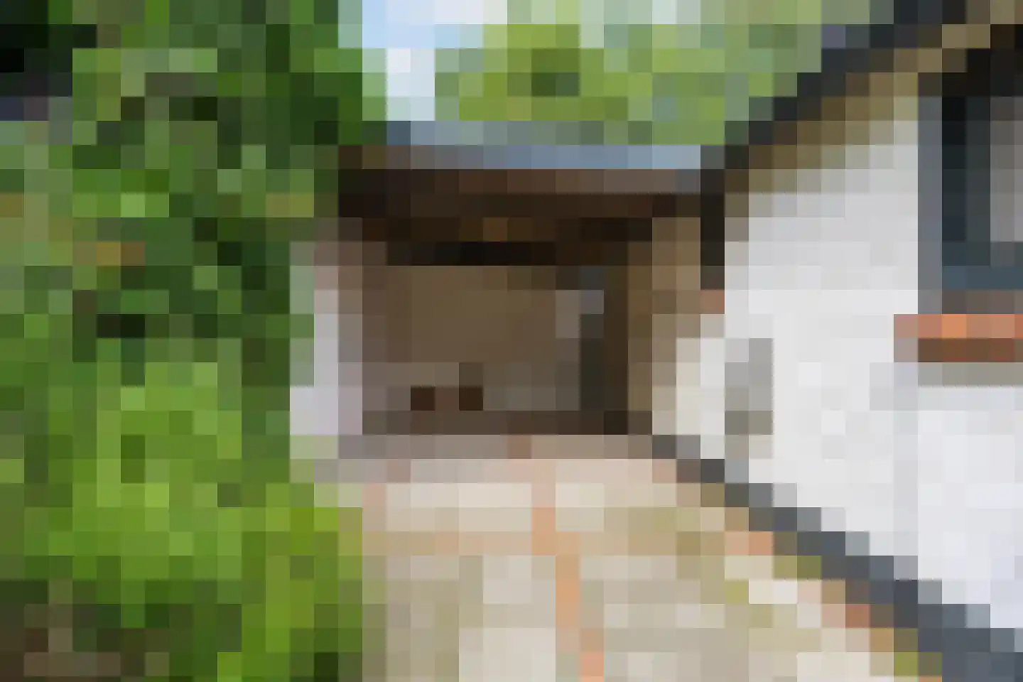 Mernaweg 81 Wehe-den Hoorn thumbnail 49