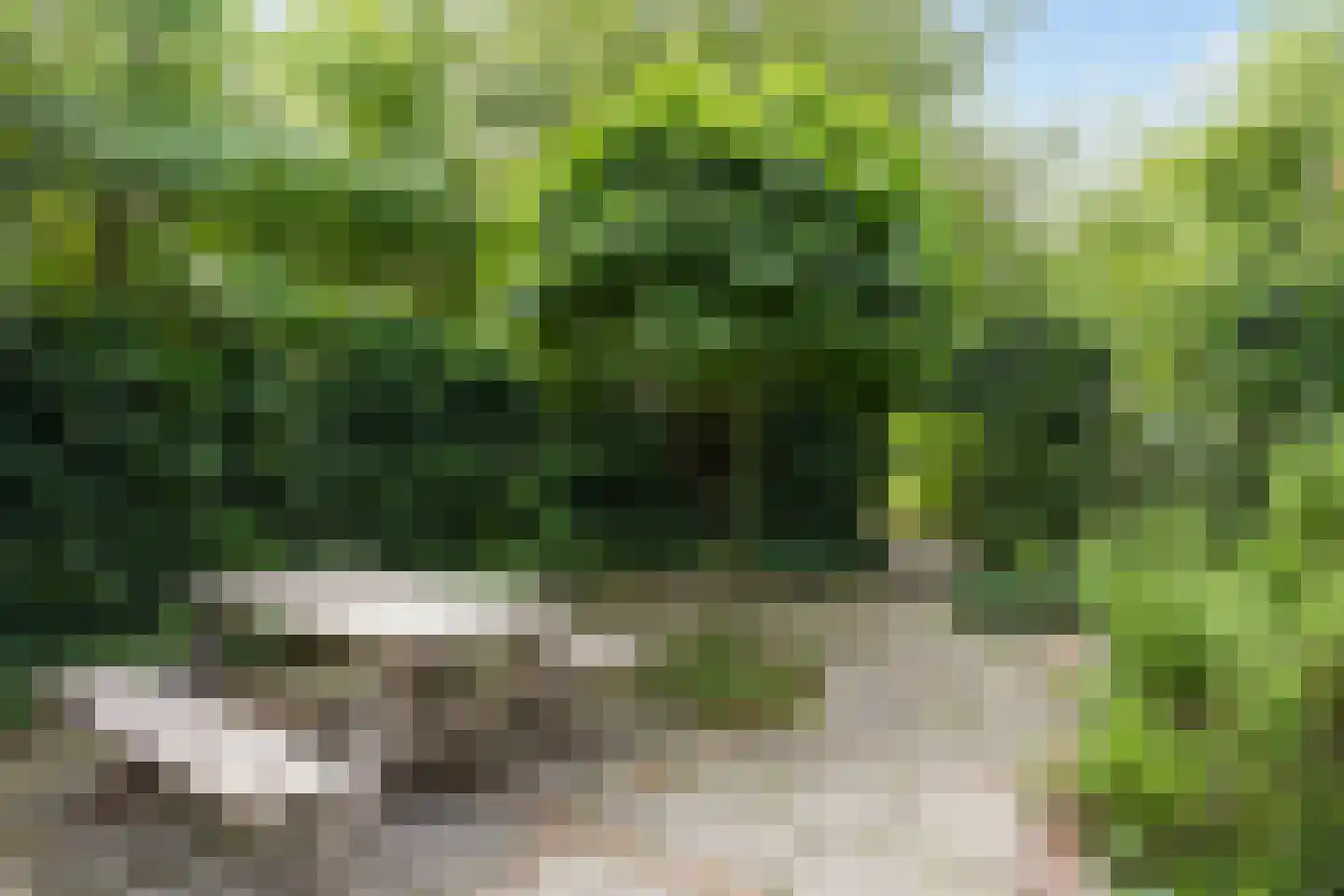 Mernaweg 81 Wehe-den Hoorn thumbnail 50